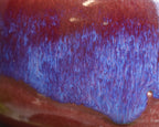 Handmade Ceramic Vortex Berry Bowl – Plum, Cobalt and Violet Fruit Washer