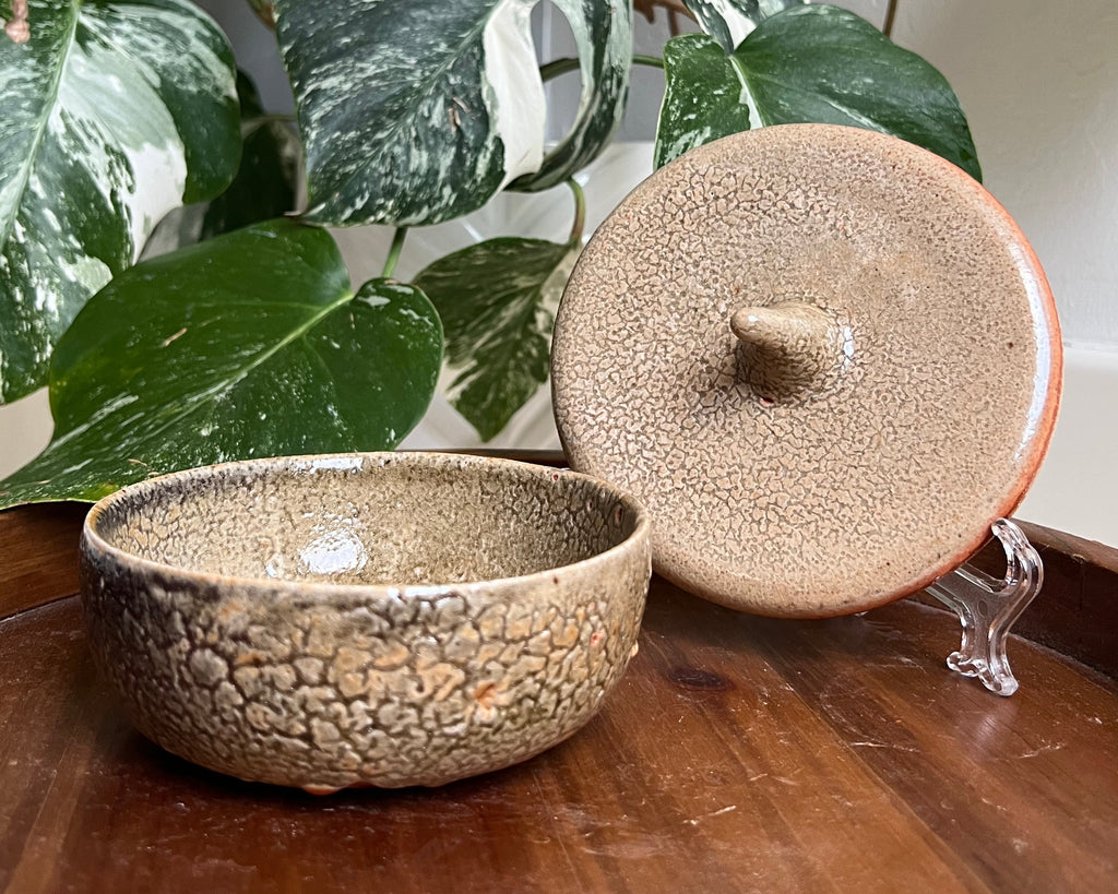 The Little Nutcase – Handmade Ceramic Acorn Lidded Jar